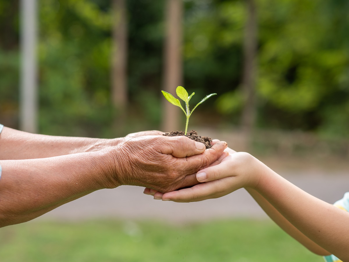 sustentabilidade