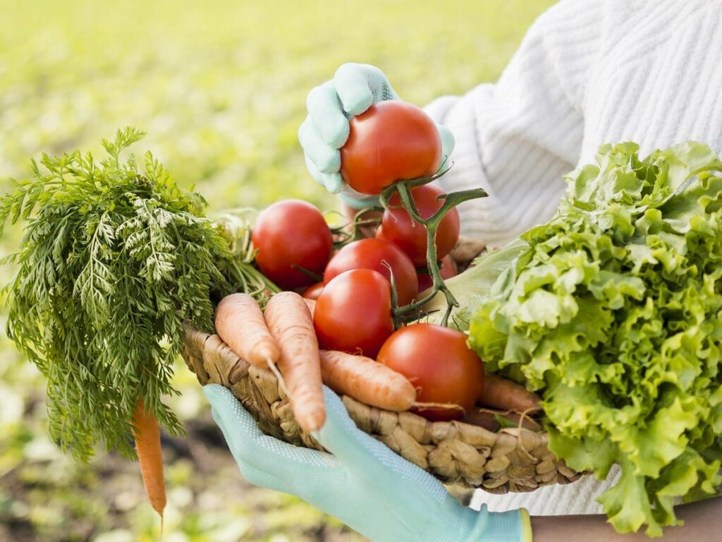 agricultura-familiar