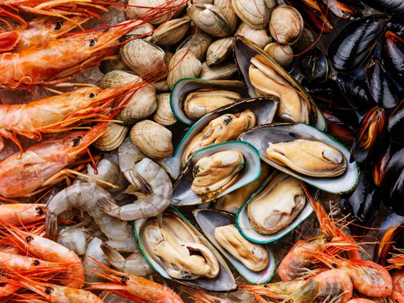 crustaceos crustaceos