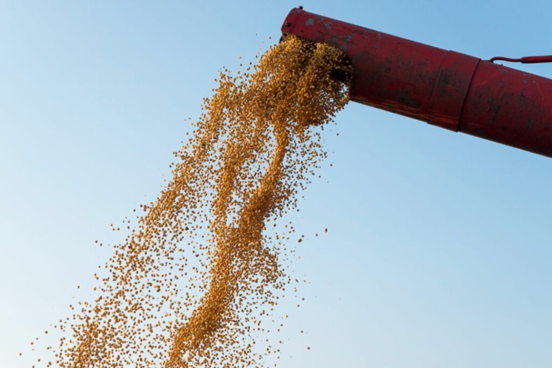 Agropecuaria-apresenta-crescimento-perto-de-18-neste-semestre Agropecuaria-apresenta-crescimento-perto-de-18-neste-semestre