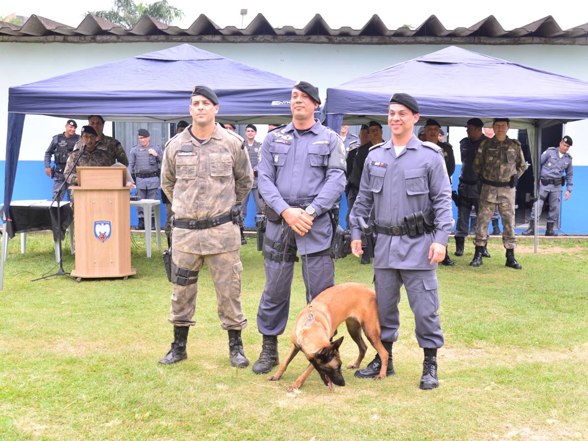CAO-POLICIAL CAO-POLICIAL
