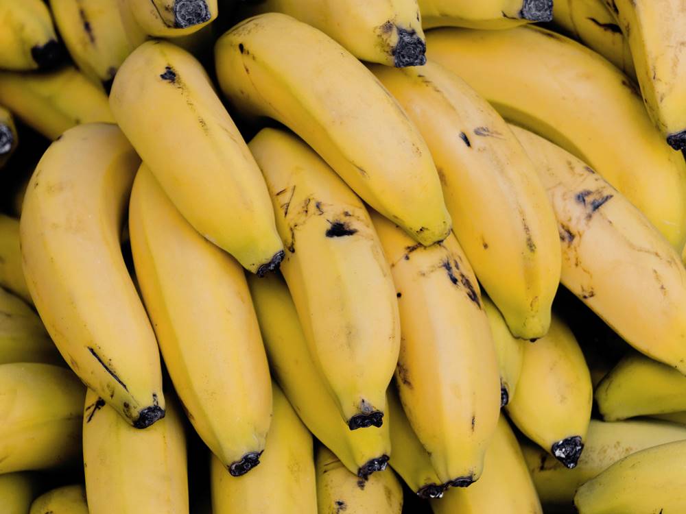 banana banana
