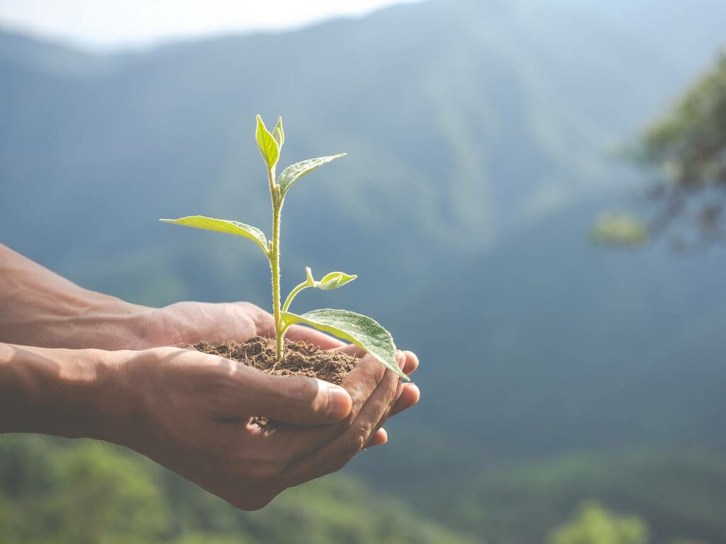 desenvolvimento-sustentavel