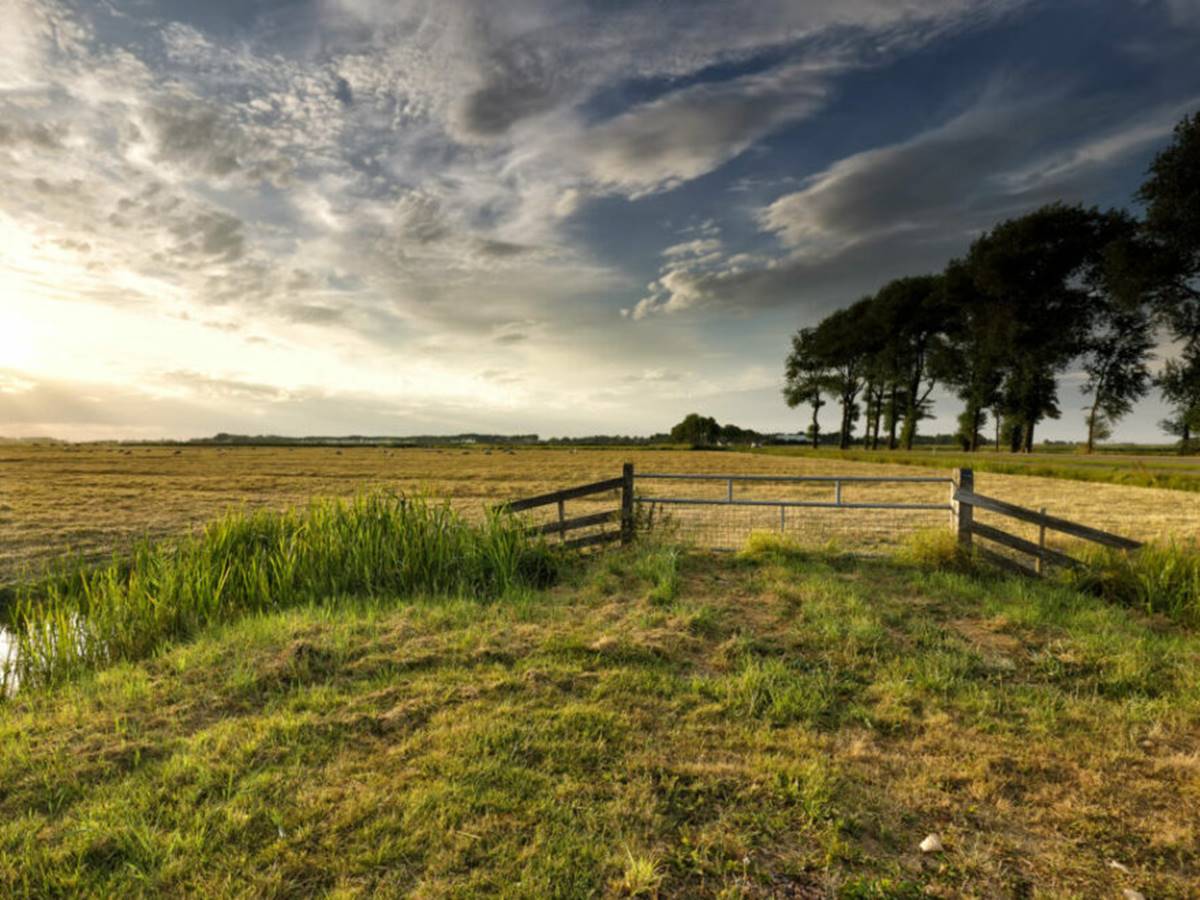 FAZENDA_ENVATO FAZENDA_ENVATO