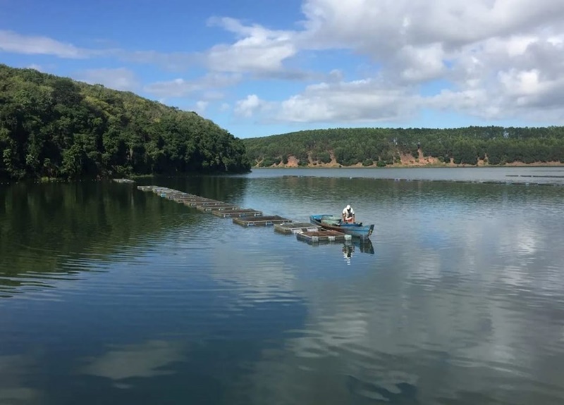 Praticas-inovadoras-otimizam-a-aquicultura-capixaba Praticas-inovadoras-otimizam-a-aquicultura-capixaba