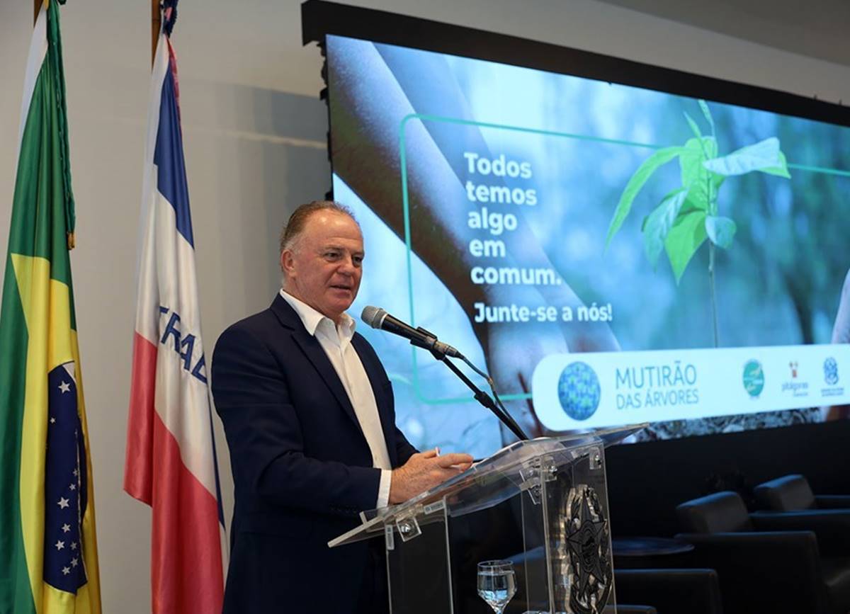 mudas_governo mudas_governo