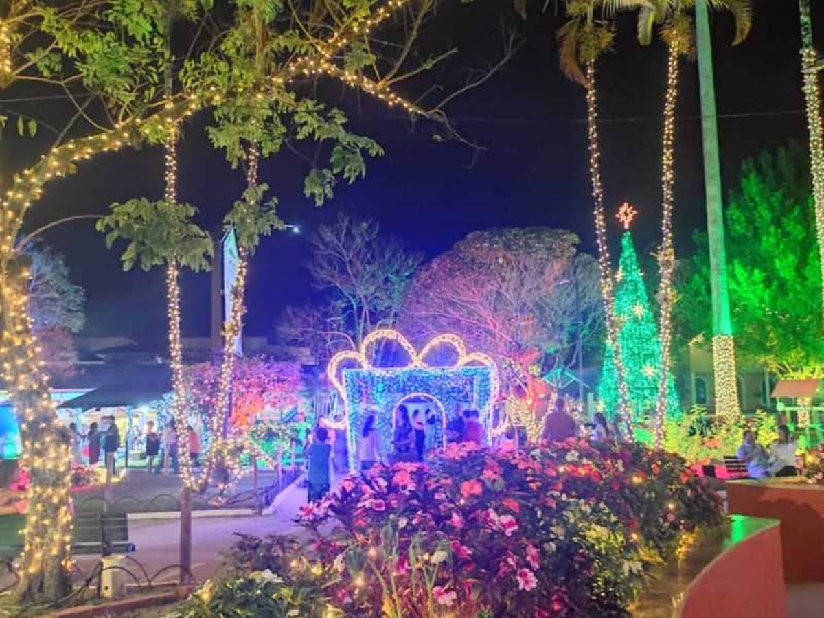 brilho-de-natal-2022-PMDM-4-1 brilho-de-natal-2022-PMDM-4-1
