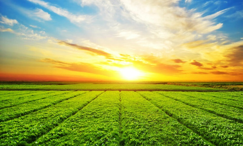 Fatores-climaticos-influenciarao-a-producao-do-agro-em-2024 Fatores-climaticos-influenciarao-a-producao-do-agro-em-2024