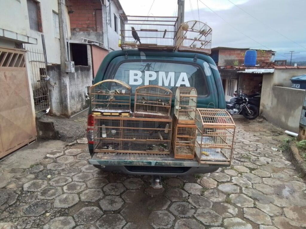 PMA-28-12