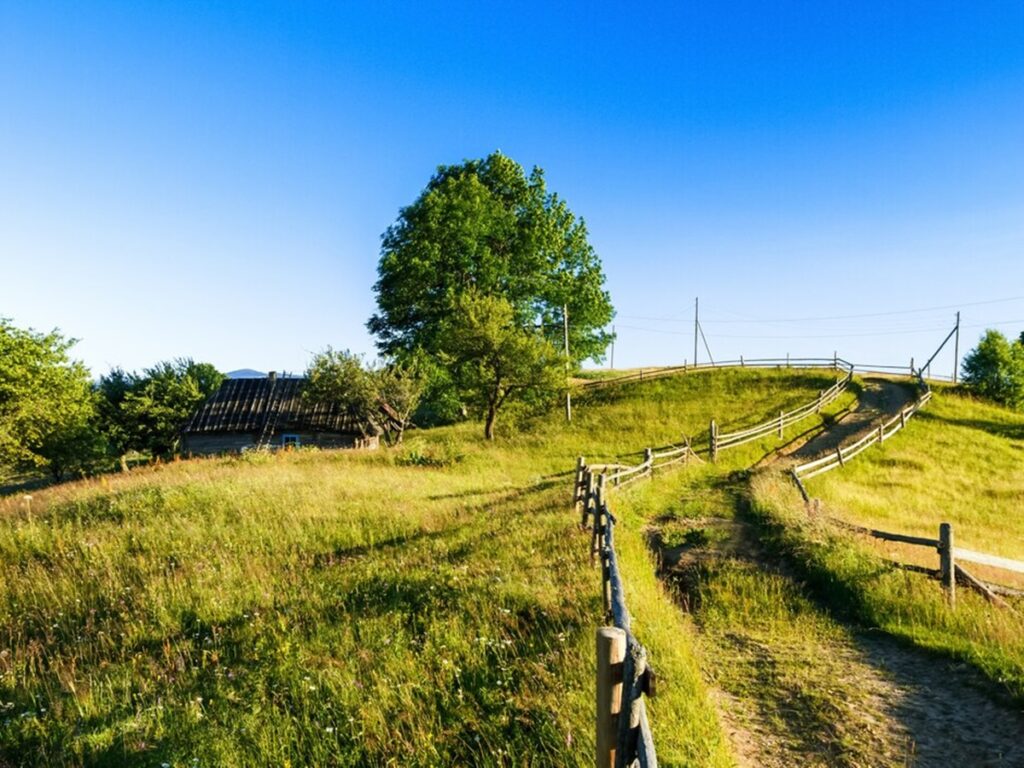 paisagem-29-12-freepik-1