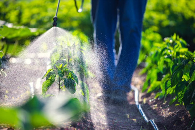 Ano-de-2023-tem-90-produtos-de-baixo-impacto-registrados-para-a-agricultura Ano-de-2023-tem-90-produtos-de-baixo-impacto-registrados-para-a-agricultura
