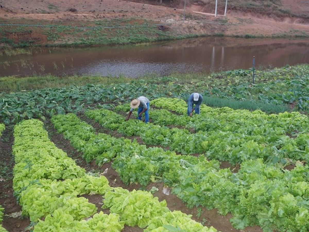 agricultura-18-01-incaper