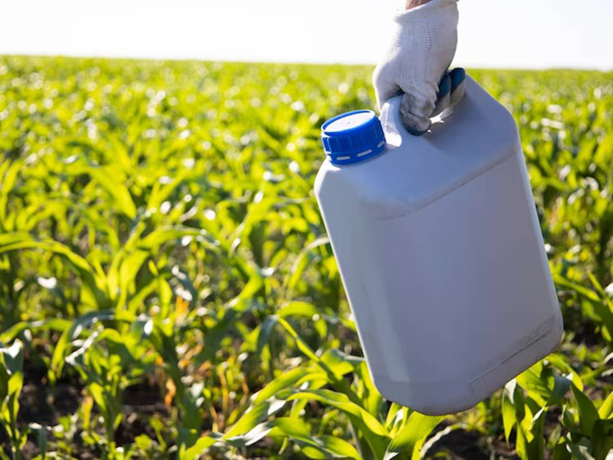 agro-24-01-freepik agro-24-01-freepik
