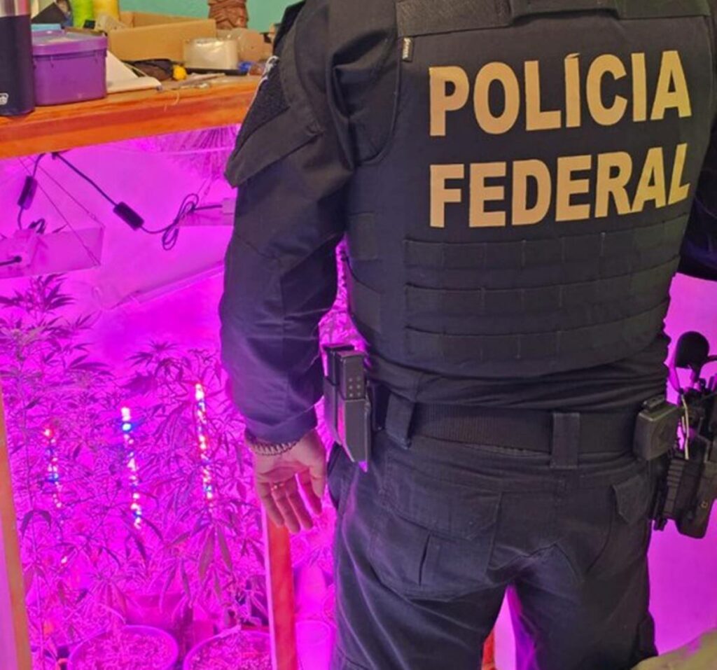 pf-11-01