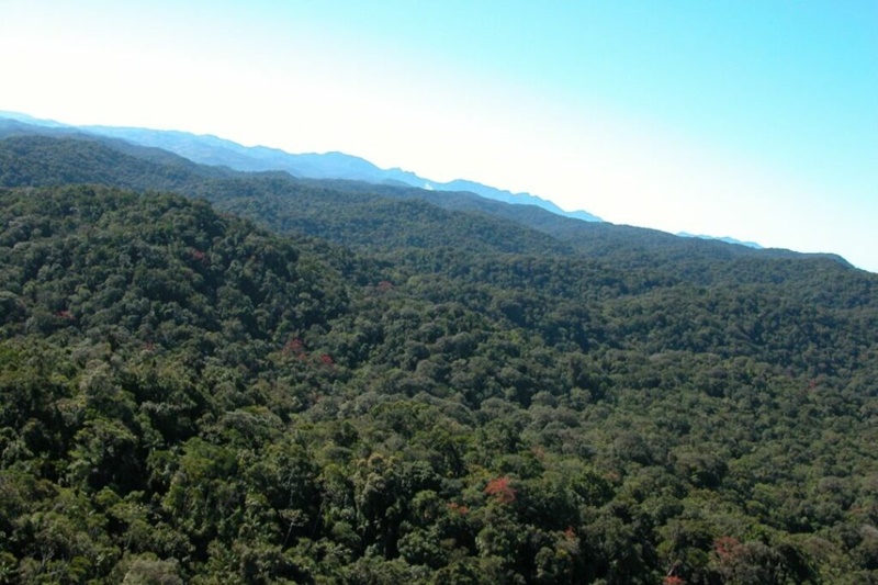 Projeto-promove-preservacao-de-remanescentes-de-Mata-Atlantica-em-propriedades-rurais Projeto-promove-preservacao-de-remanescentes-de-Mata-Atlantica-em-propriedades-rurais