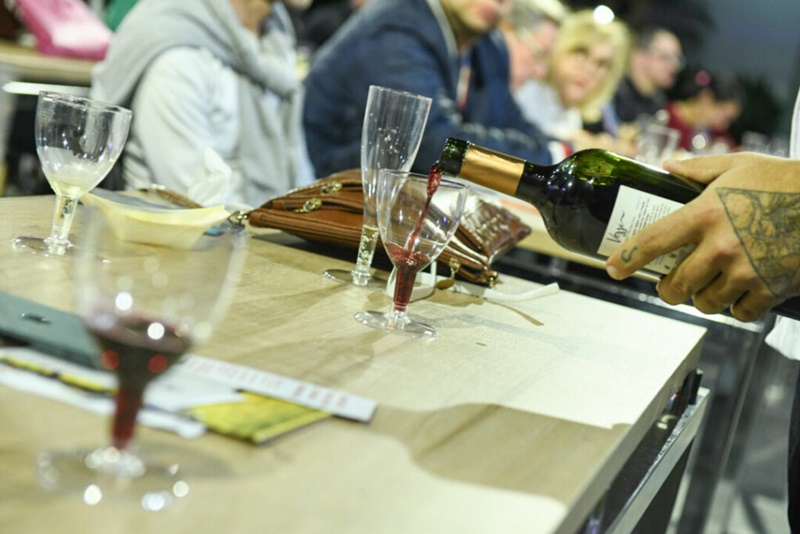 Vindima-destaca-a-importancia-do-vinho-brasileiro