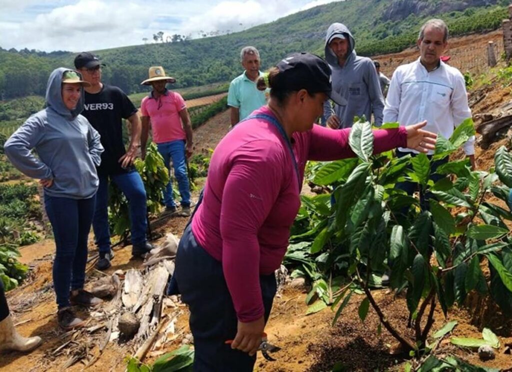 agro-06-02-incaper-cacau