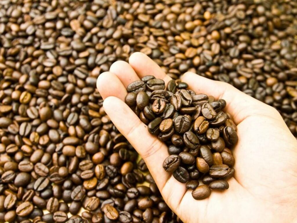 agro-21-02-freepik-cafe