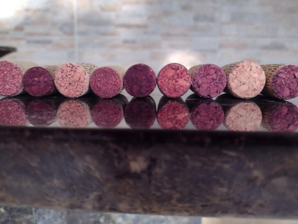 agro-01-03-pmmf-Jandir-Gratieri