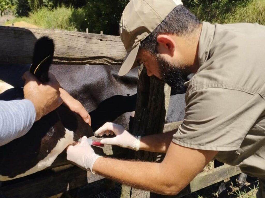 agro-26-03-ft-arquivo-idaf