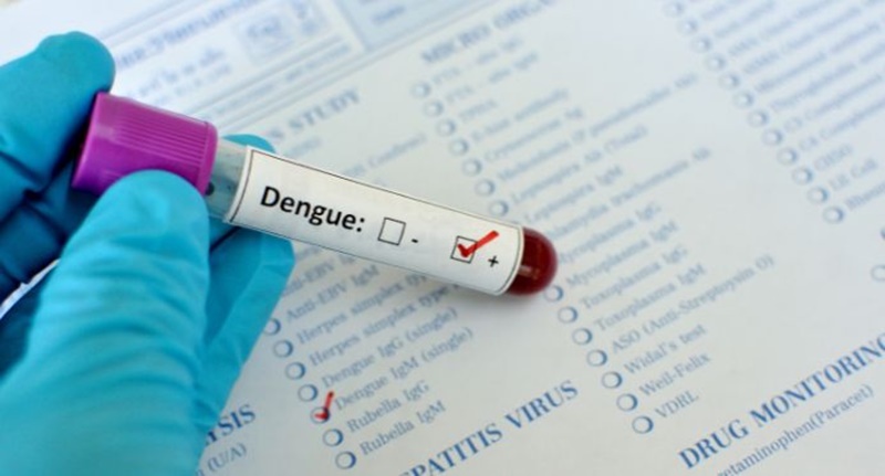 dengue-2