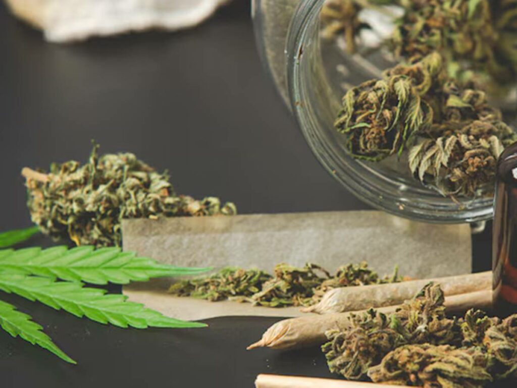 geral-14-03-freepik-droga