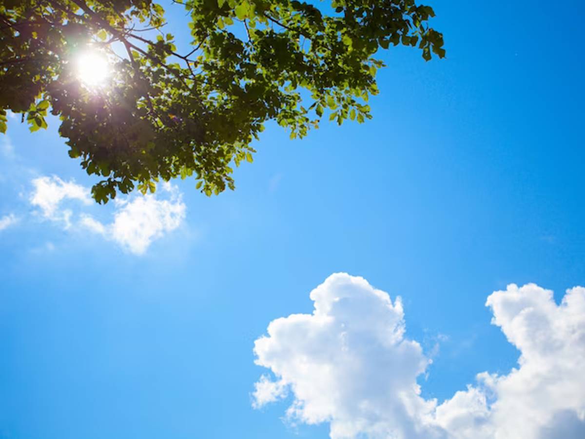 geral-20-03-freepik-ceu