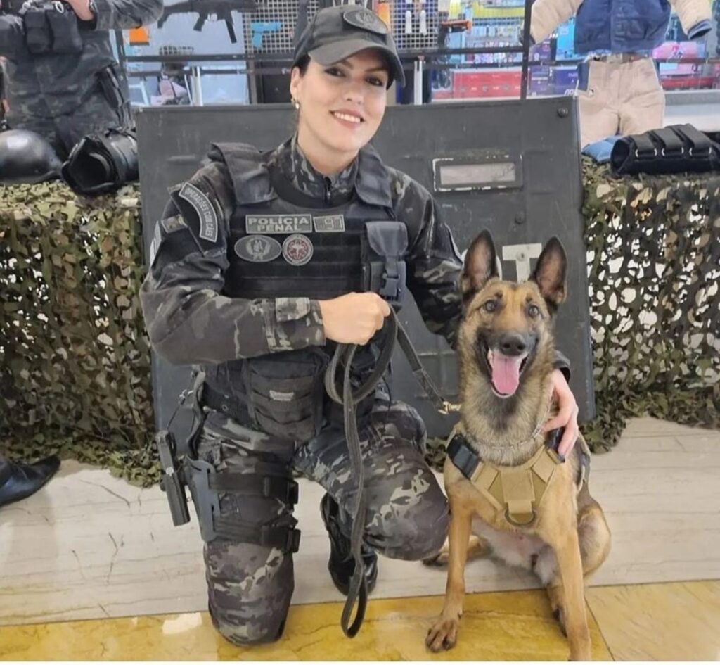 geral-estado-21-03-gov-es-2