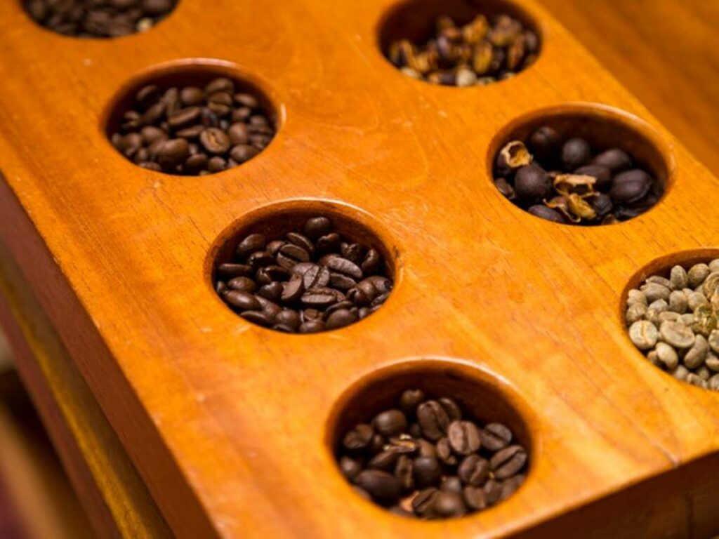 agro-22-04-freepik-cafe