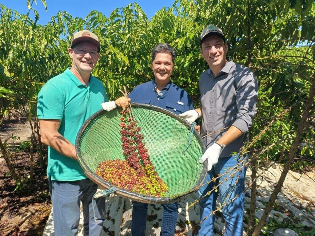 agro-15-05-ft-divulgacao-seag-cafe