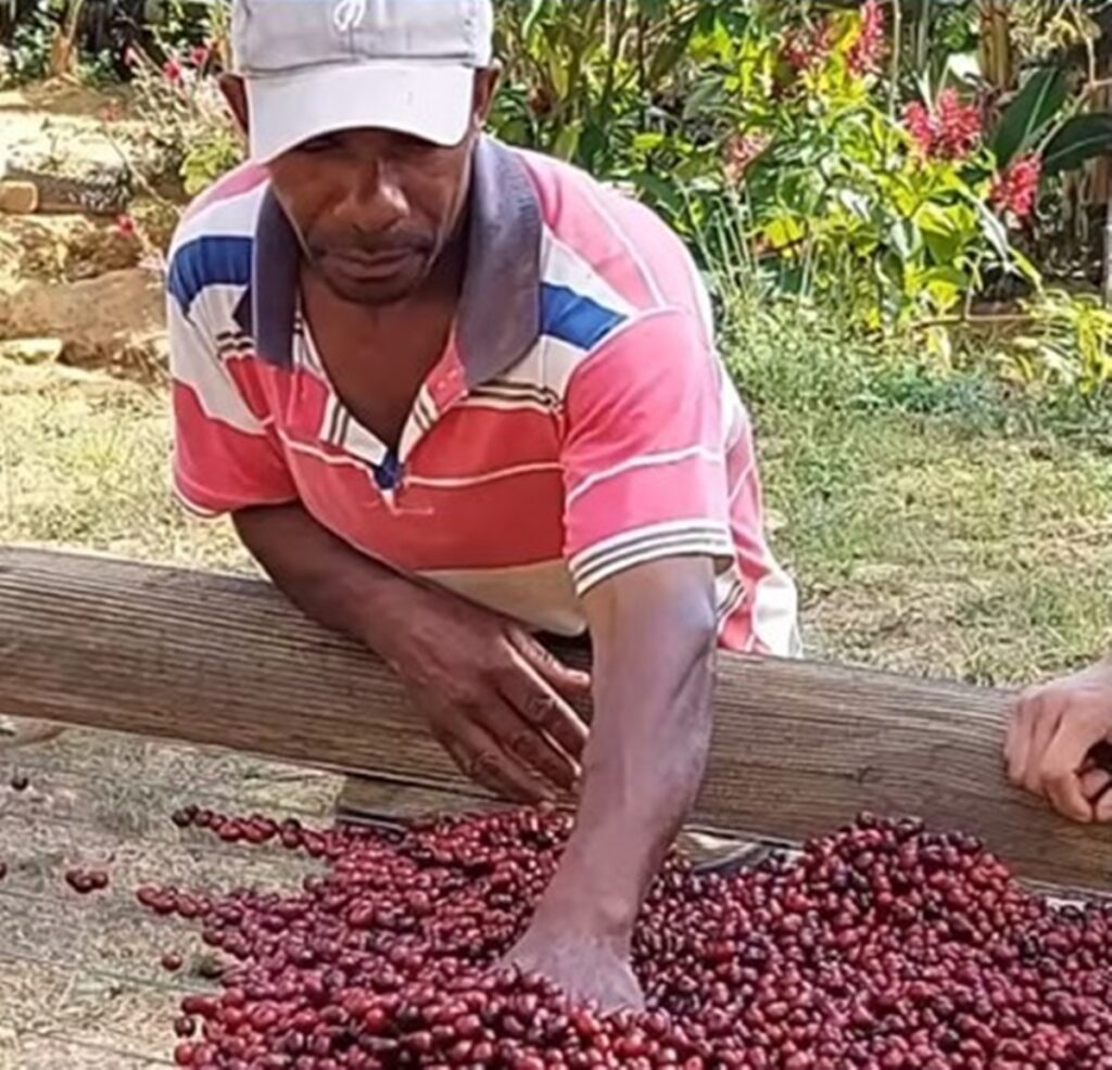 agro-07-06-ft-gov-es-homem-com-graos-de-cafe