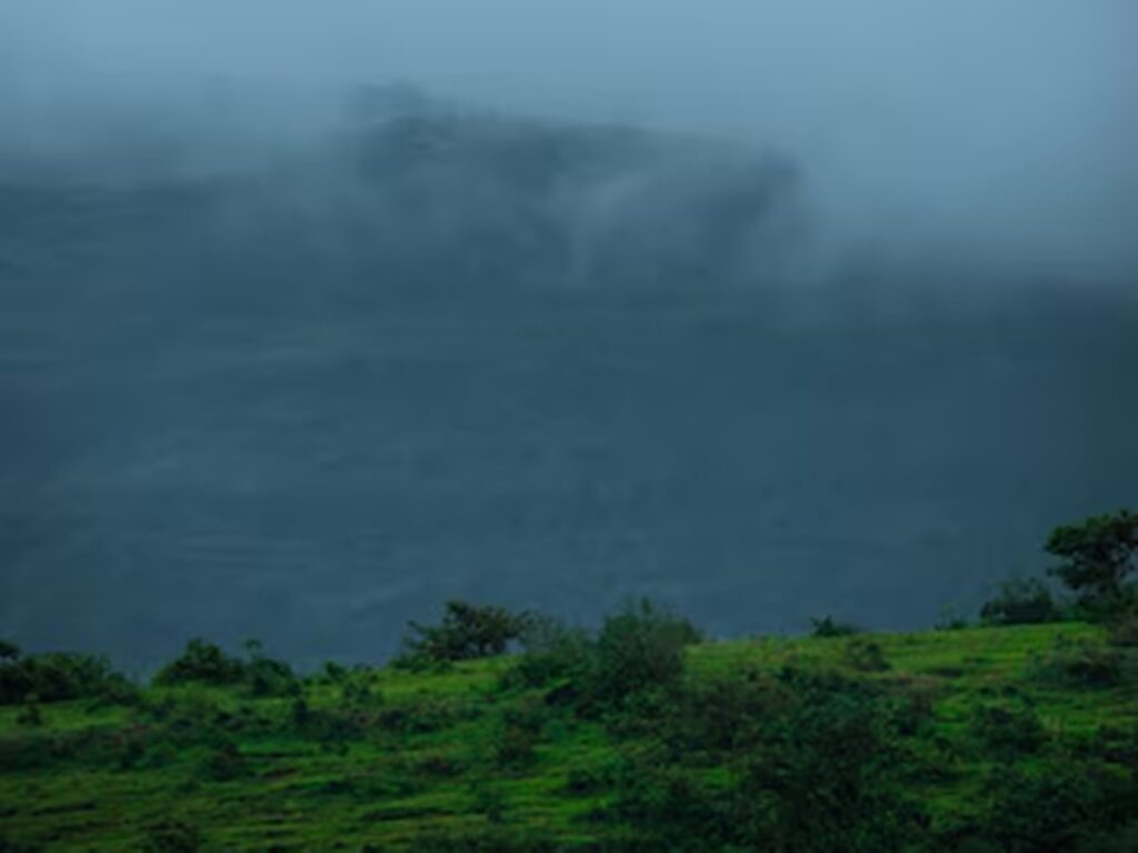 geral-01-07-ft-freepik-tempo