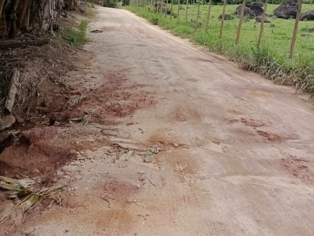 politica-16-07-ft-divulgacao-estrada-batatal