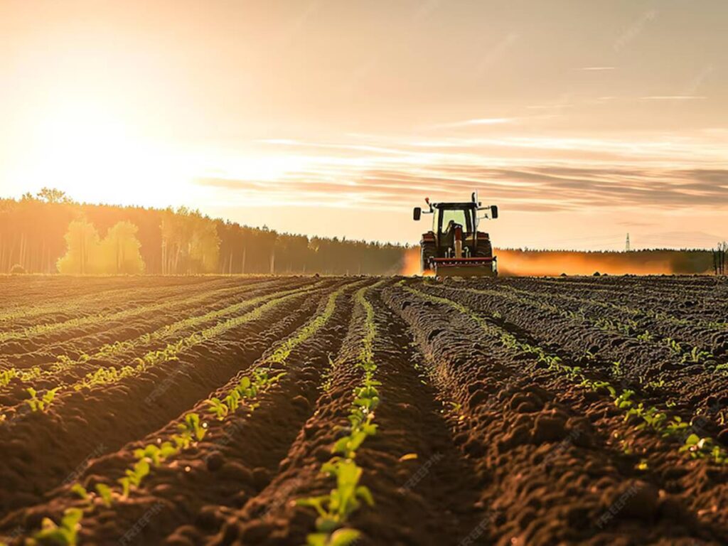 agro 23-08 - ft freepik - lavoura