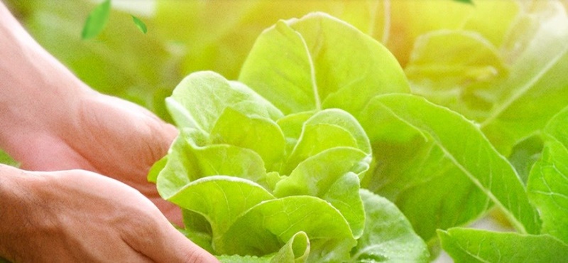 residuos-de-agrotoxico residuos-de-agrotoxico