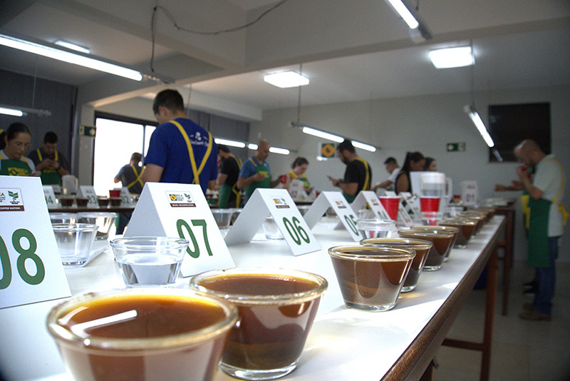 Cup-of-Excellence-2024 Cup-of-Excellence-2024