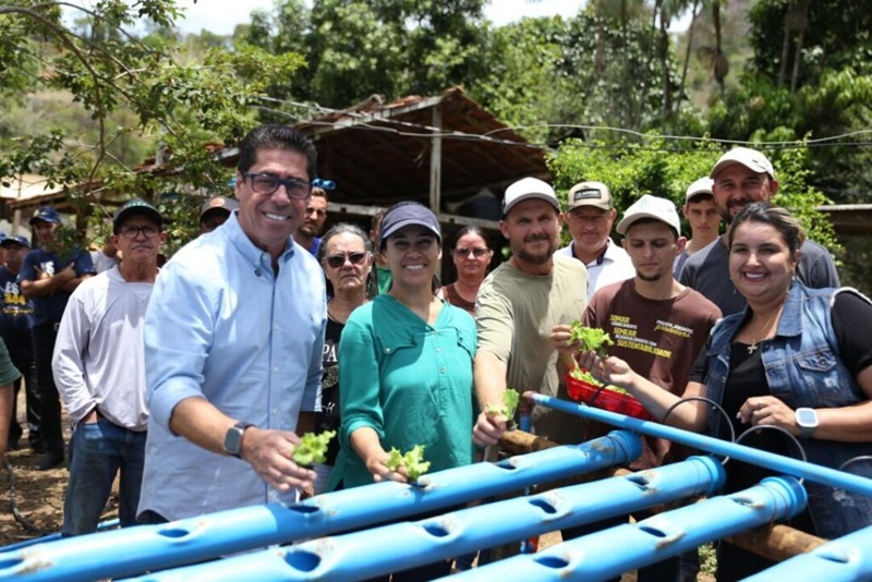 assembleia legislativa distribui mudas assembleia legislativa distribui mudas