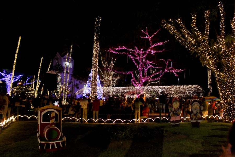 Brilho de Natal - Eloisa Leite Brilho de Natal - Eloisa Leite