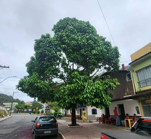 Montanhas Capixabas