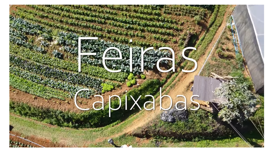 capa - feiras capa - feiras