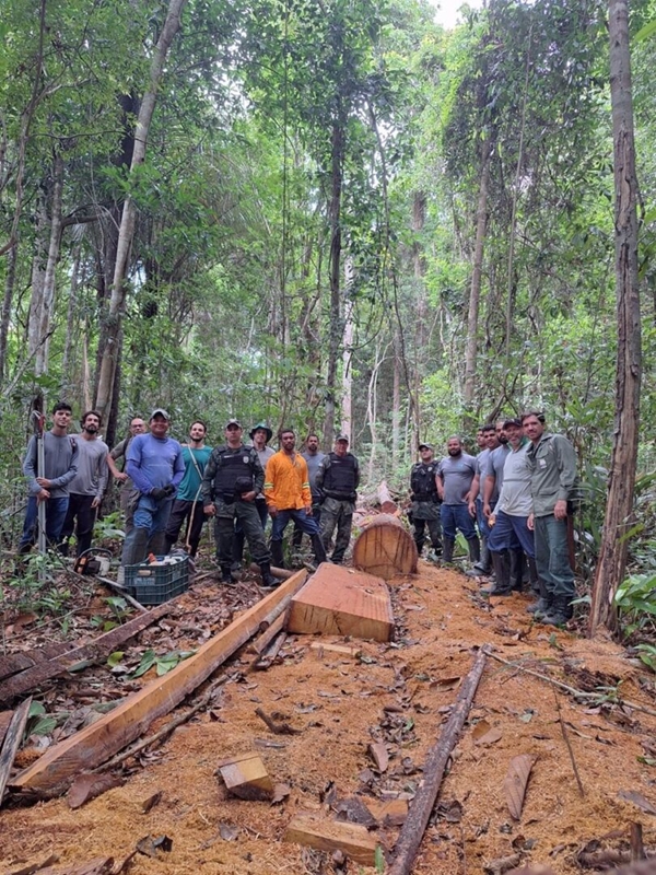 combate crimes ambientais