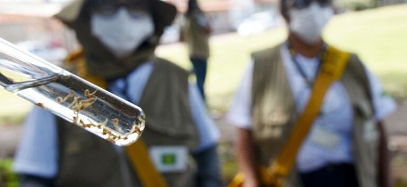 dengue no verao dengue no verao
