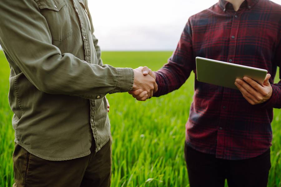 Two farmers making agreement with handshake in green wheat field. Agricultural business.