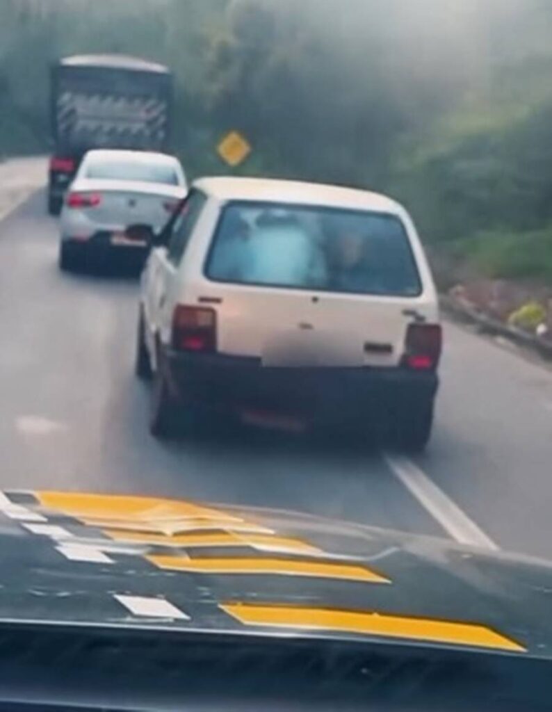 Imagem do WhatsApp de 2025-02-12 à(s) 16.57.40_7bd4f106