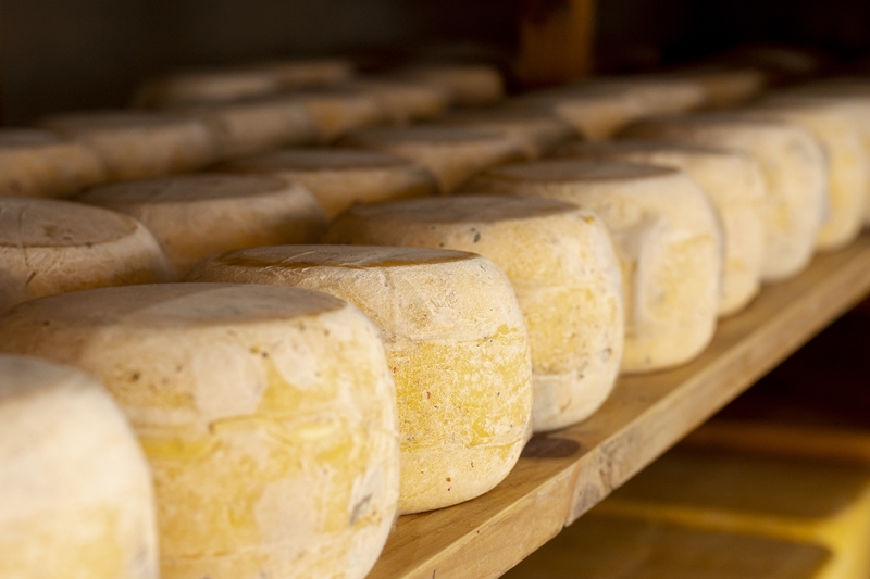 queijo artesanal queijo artesanal