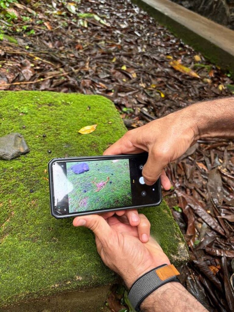 Imagem do WhatsApp de 2025-04-21 à(s) 11.59.20_2b7a0b66