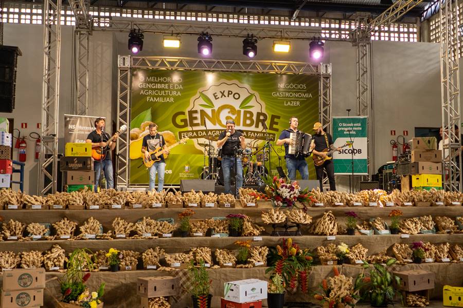 Expo Gengibre - João Teles (3)
