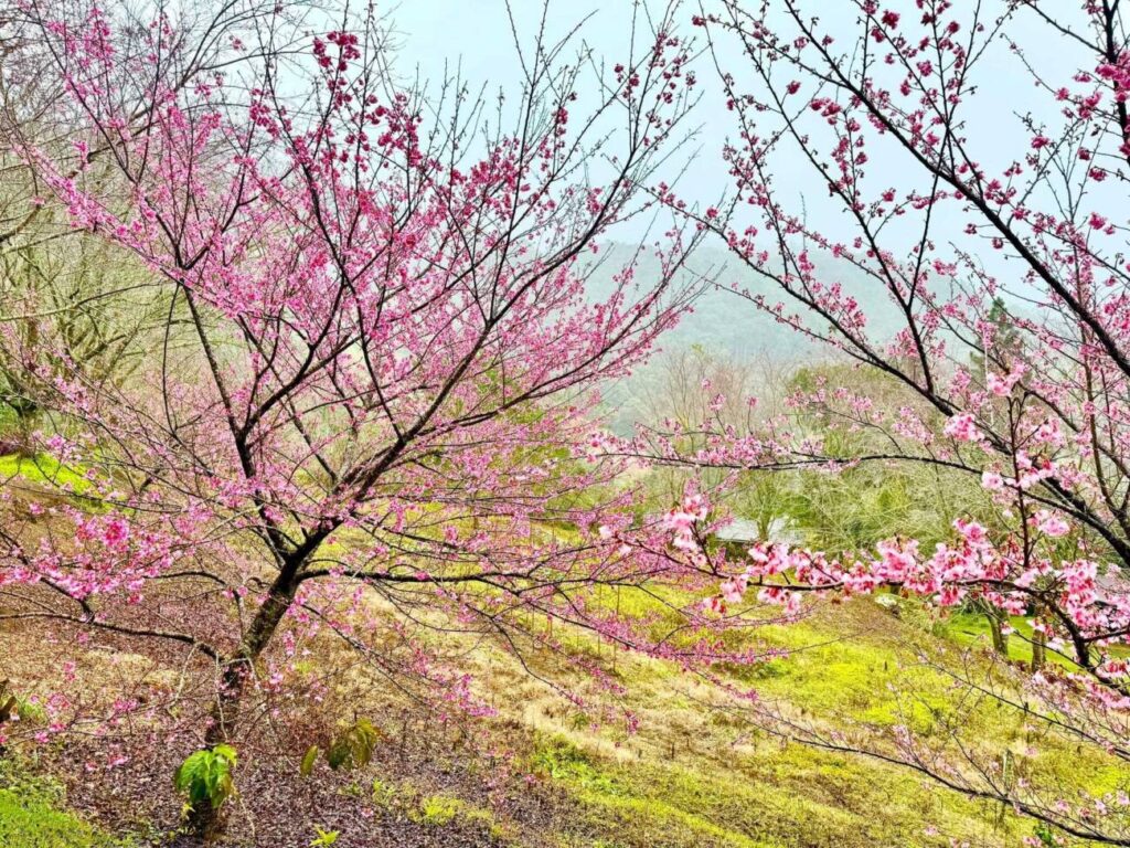 {E6B3BC61-E8B1-E1C0-6C6C-7C1EE5CA7BD0}