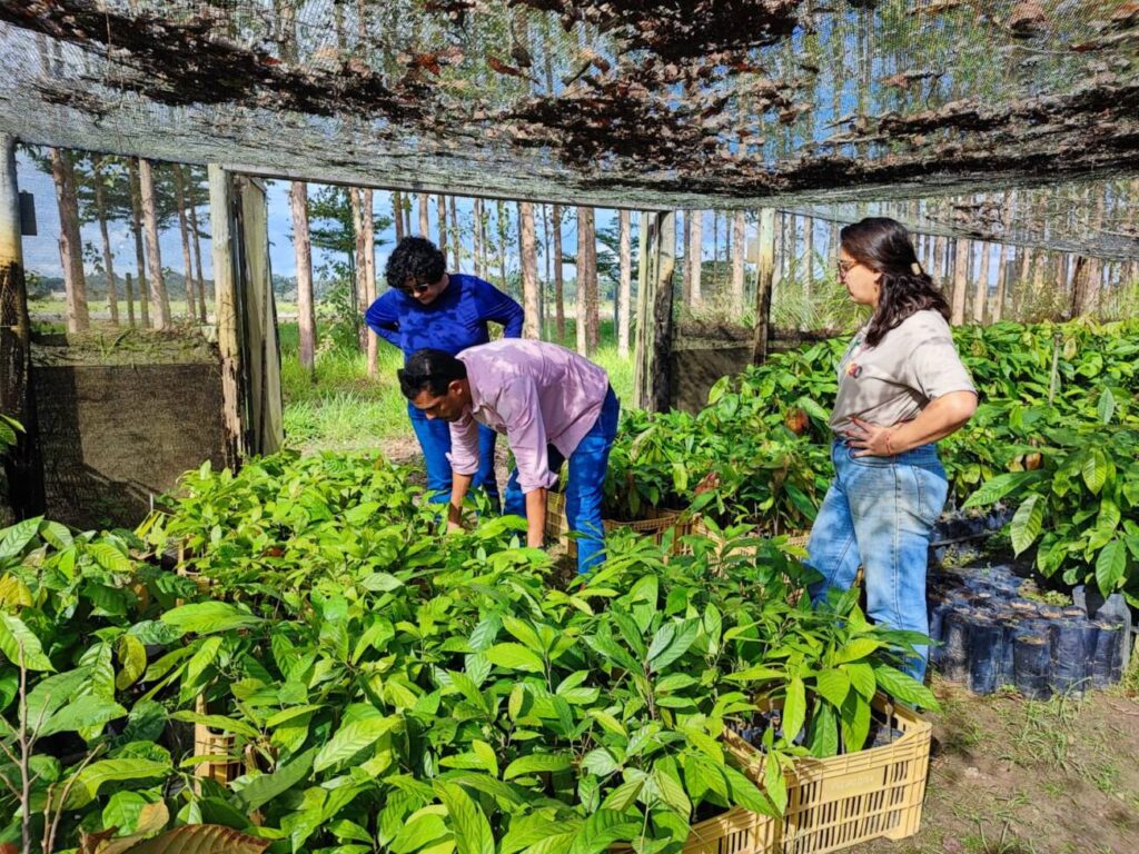 WhatsApp Image 2025-07-08 at 13.56.53