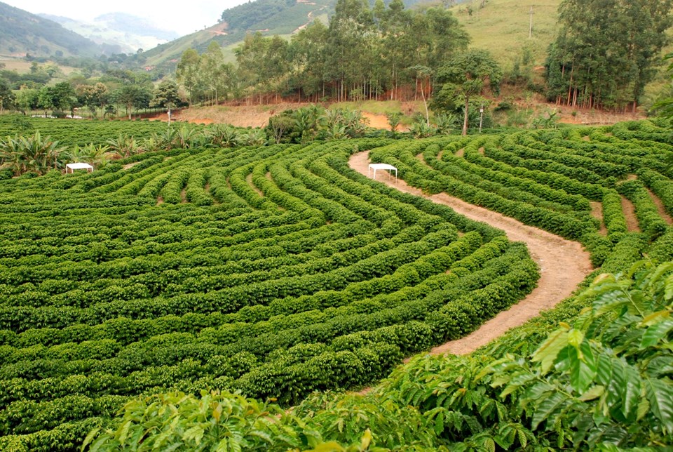 WhatsApp Image 2025-07-21 at 14.22.38(2)